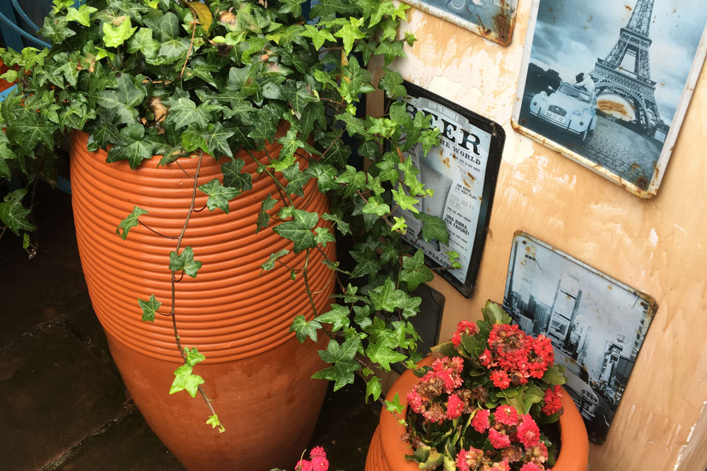 91蜜桃国产成人精品区